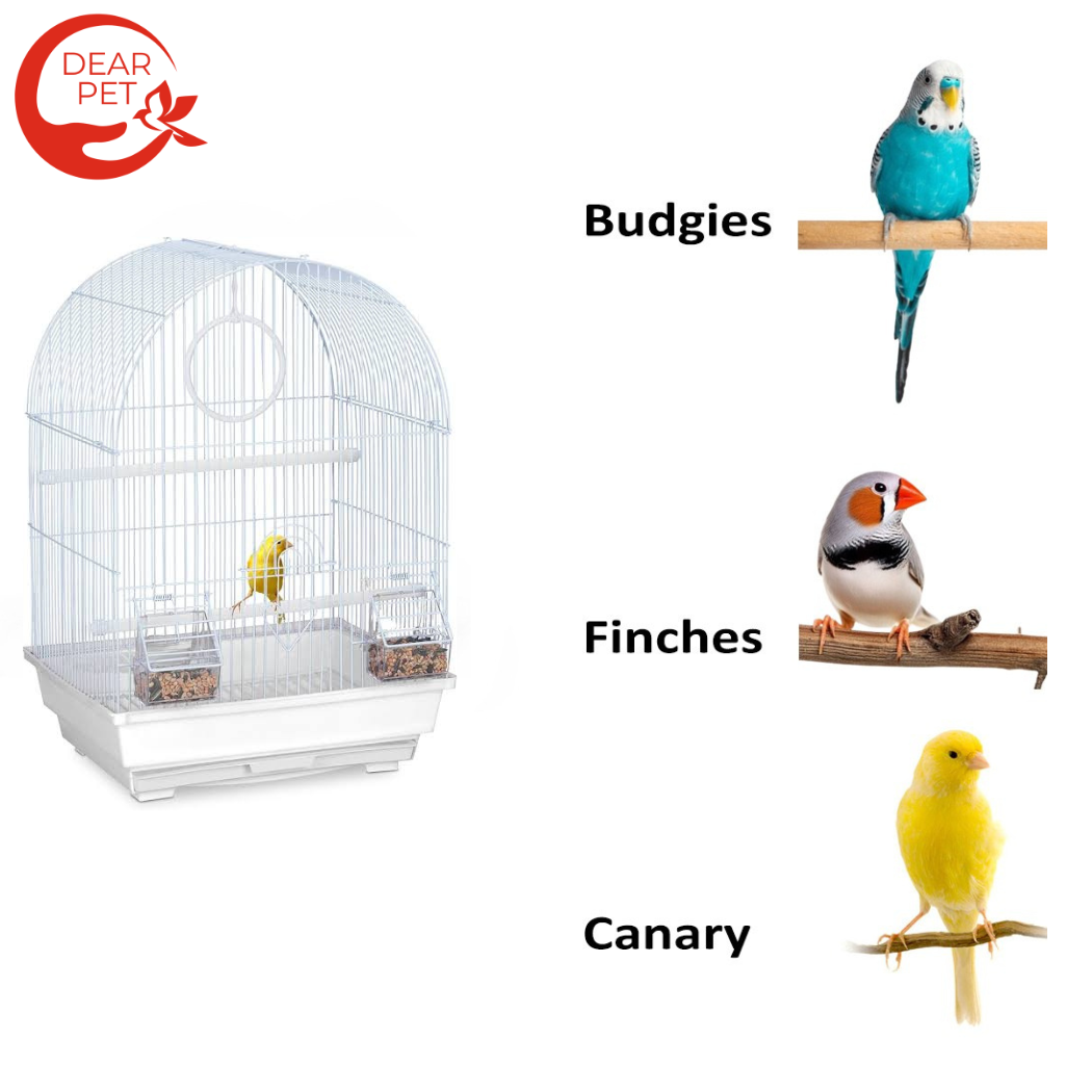 Dayang Stylish Birds Cage A100