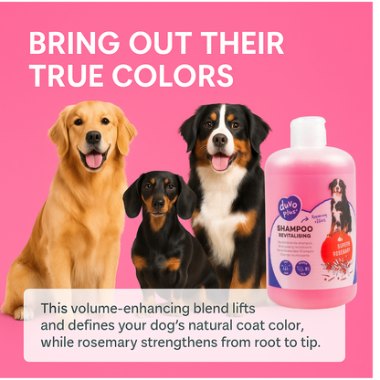 Duvo+ Revitalizing Shampoo - pet grooming