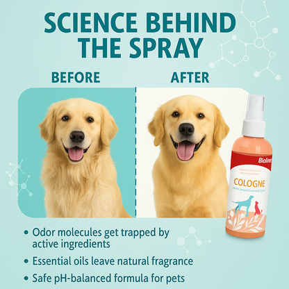 Everyday Freshness Combo – Cologne Spray + Small Treat = Good smell + reward treat