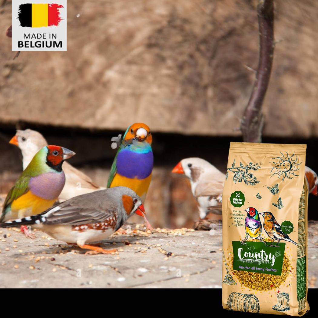 Contry finches seed mix 600g - bird food