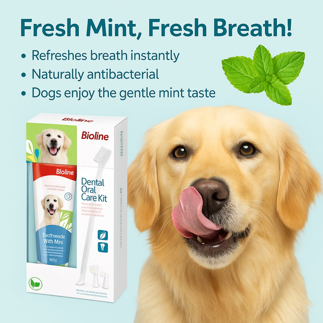 Bioline Dental Oral Care Kit,toothpaste with mint flavor -100g - pet grooming
