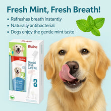 Bioline Dental Oral Care Kit,toothpaste with mint flavor -100g - pet grooming