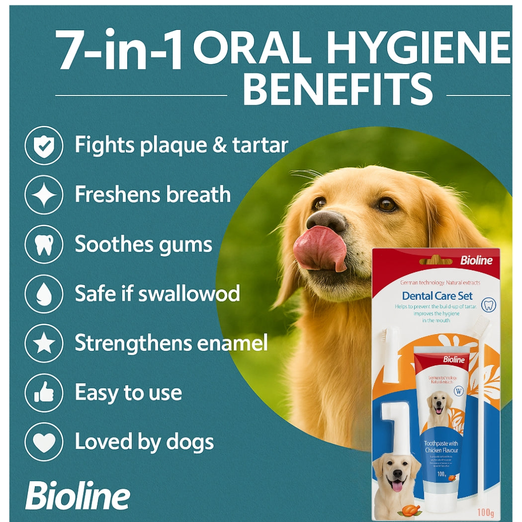 Bioline Dental Oral Care Kit,toothpaste with chicken flavor -100g - pet grooming
