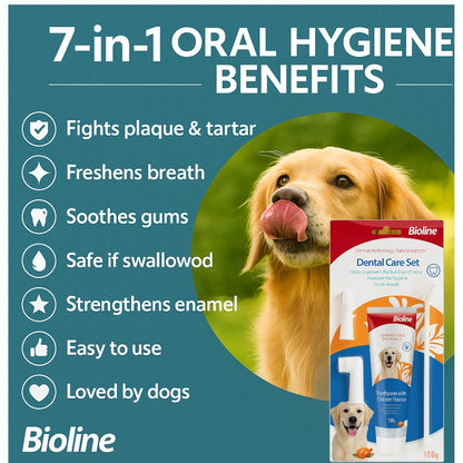 Bioline Dental Oral Care Kit,toothpaste with chicken flavor -100g - pet grooming
