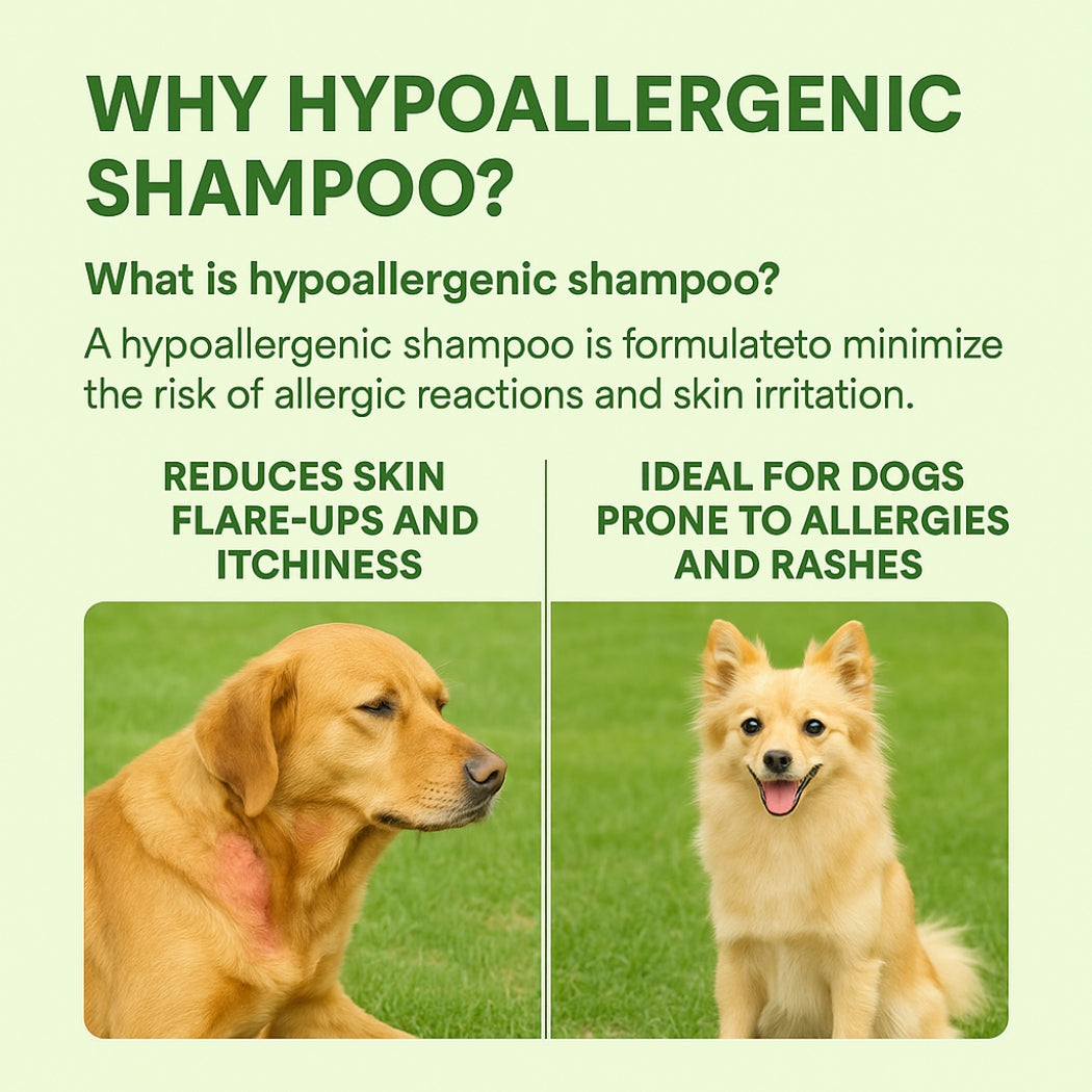 Duvo+ hypoallergenic shampoo- pet grooming