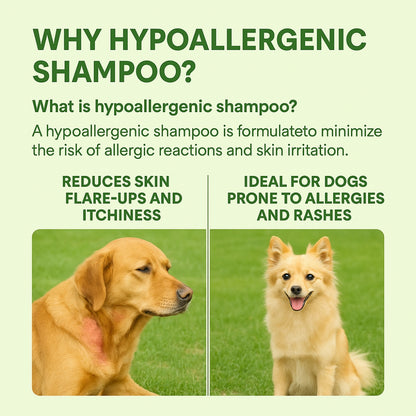 Duvo+ hypoallergenic shampoo- pet grooming