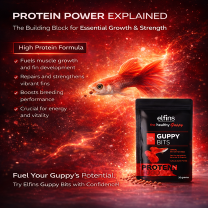 Guppy Fish Food Micro Pellets 20g