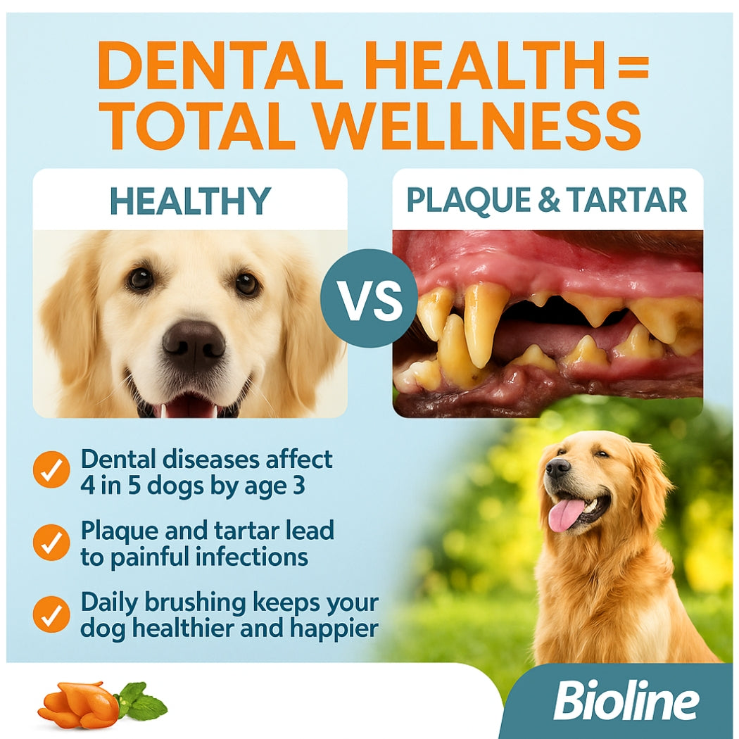 Bioline Dental Oral Care Kit,toothpaste with chicken flavor -100g - pet grooming