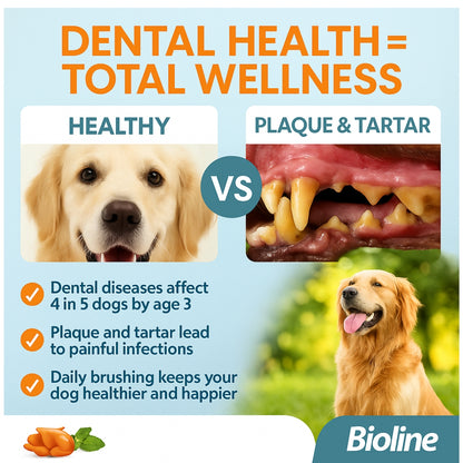 Bioline Dental Oral Care Kit,toothpaste with chicken flavor -100g - pet grooming