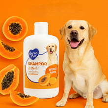 Duvo+- shampoo 2 in 1 - dog shampoo- pet grooming