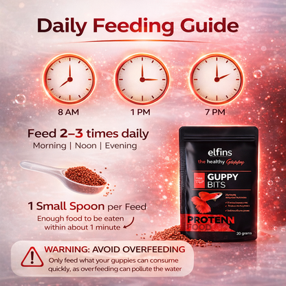 Guppy Fish Food Micro Pellets 20g