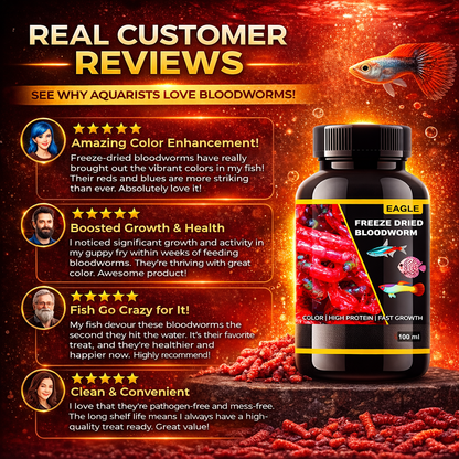 Freeze Dried Bloodworms Fish Food 100ml
