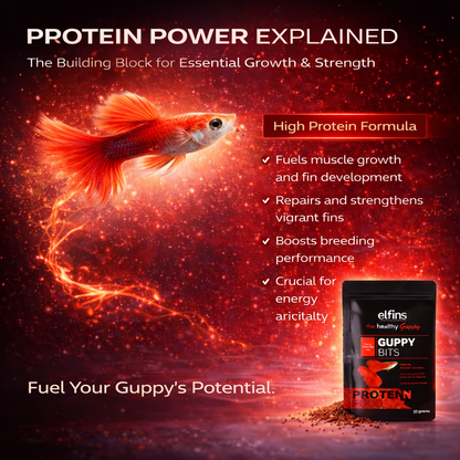 Guppy Fish Food Micro Pellets 20g