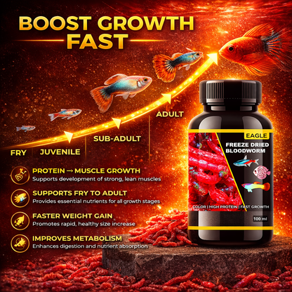 Freeze Dried Bloodworms Fish Food 100ml