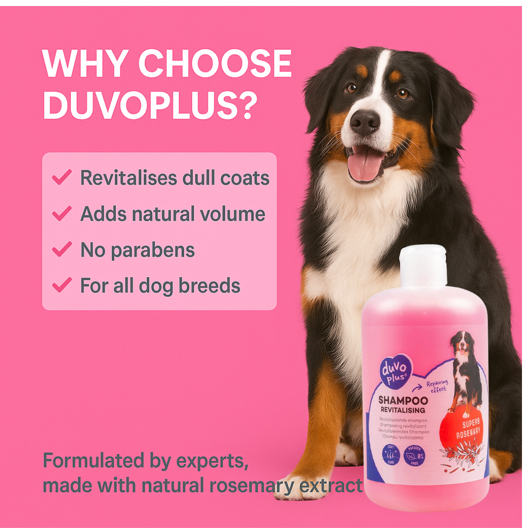 Duvo+ Revitalizing Shampoo - pet grooming