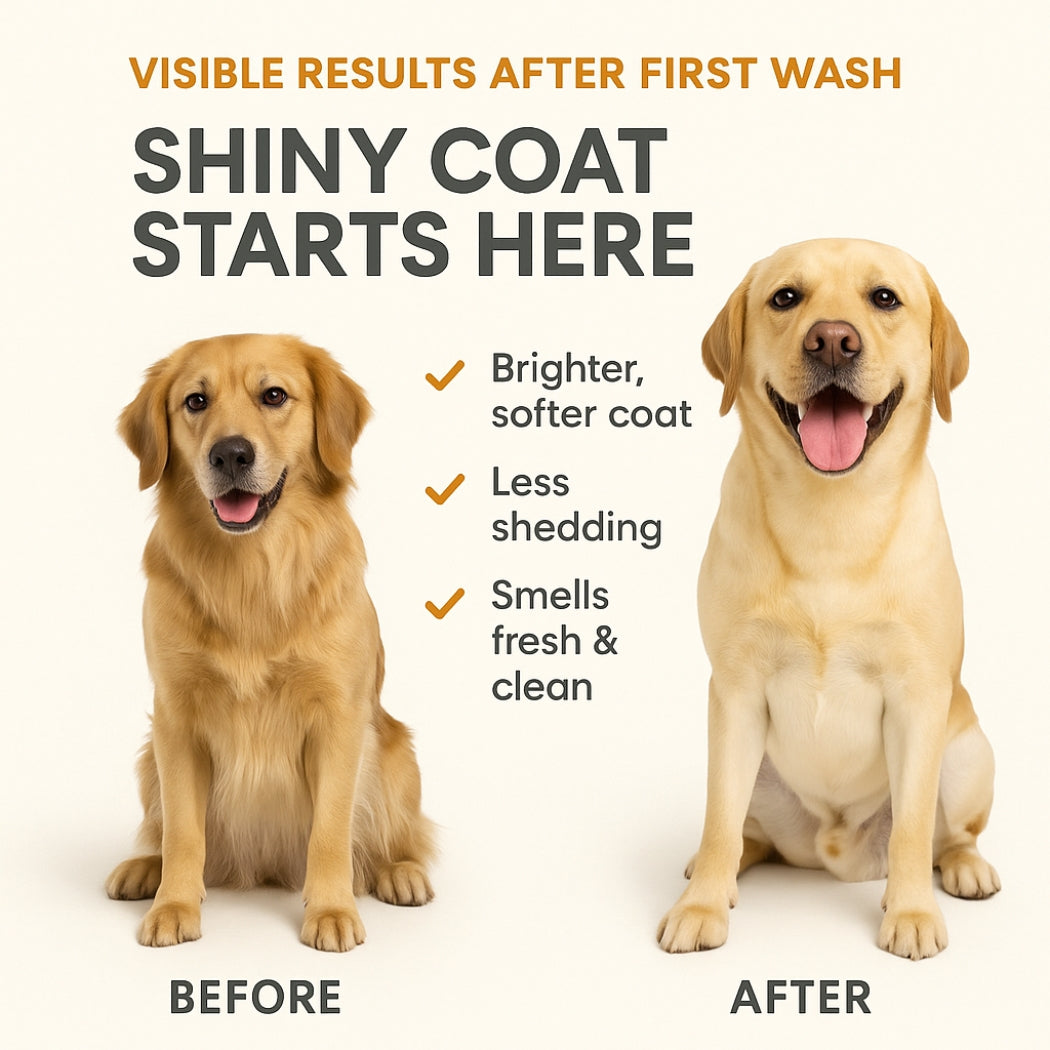 Duvo+- shampoo 2 in 1 - dog shampoo- pet grooming