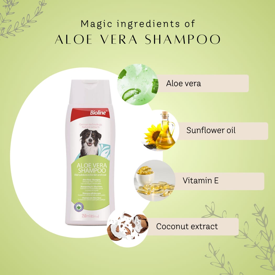 Bioline Aloevera shampoo 250ml pet grooming