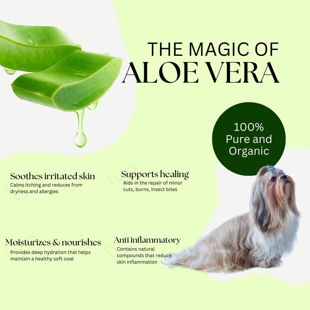 Bioline Aloevera shampoo 250ml pet grooming