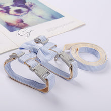 Petbroo Cat Leash  & Harness with Bow