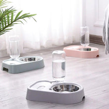 Petbroo Stylish feeding Dispenser with Bowl