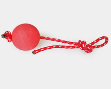 Petbroo Dog Hard Rope Ball