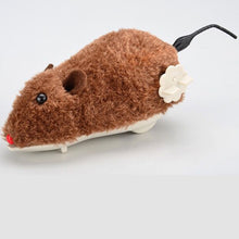 PETBROO CAT TOY MOUSE WITH KEY
