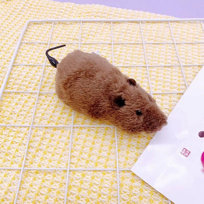 PETBROO CAT TOY MOUSE WITH KEY