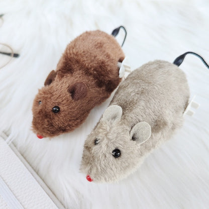 PETBROO CAT TOY MOUSE WITH KEY