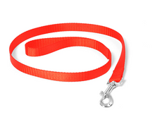 Duvo+ Nylon Lead Red dog walking essentials