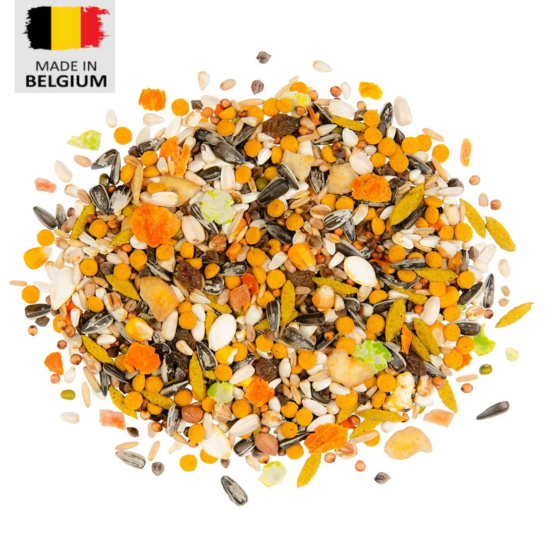 Country African grey parrot seed mix- 2kg bird food
