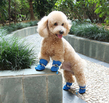 PETBROO DOG SHOES dog apparels