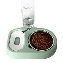 Petbroo Stylish feeding Dispenser with Bowl