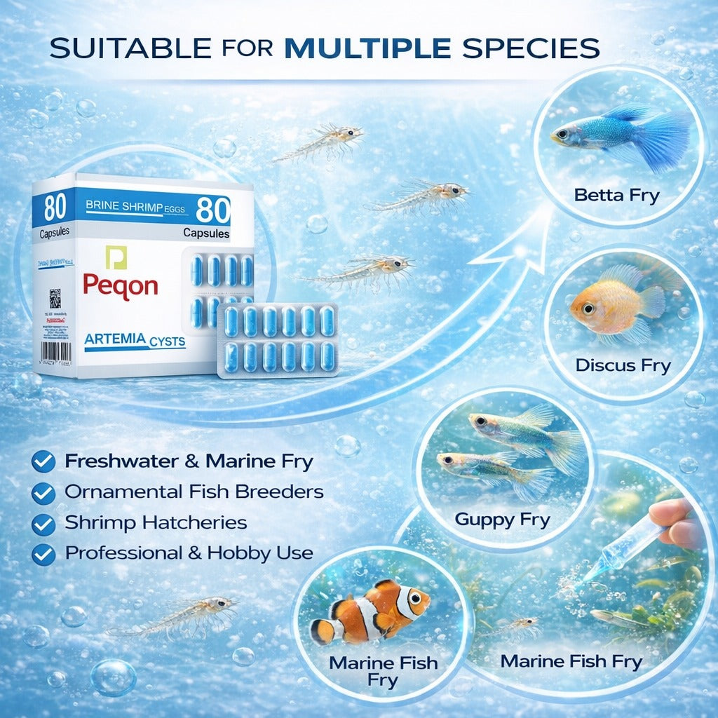 Premium Artemia Cysts Brine Shrimp Eggs Capsules for Fish Fry & Shrimp Larvae