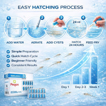 Premium Artemia Cysts Brine Shrimp Eggs Capsules for Fish Fry & Shrimp Larvae