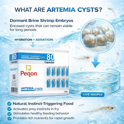 Premium Artemia Cysts Brine Shrimp Eggs Capsules for Fish Fry & Shrimp Larvae