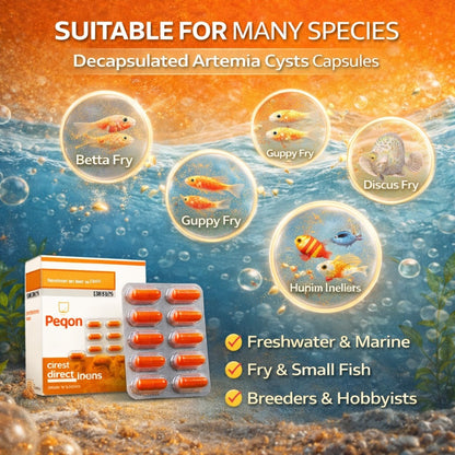 Decapsulated Artemia Cysts Capsules for Fish Fry & Shrimp Larvae