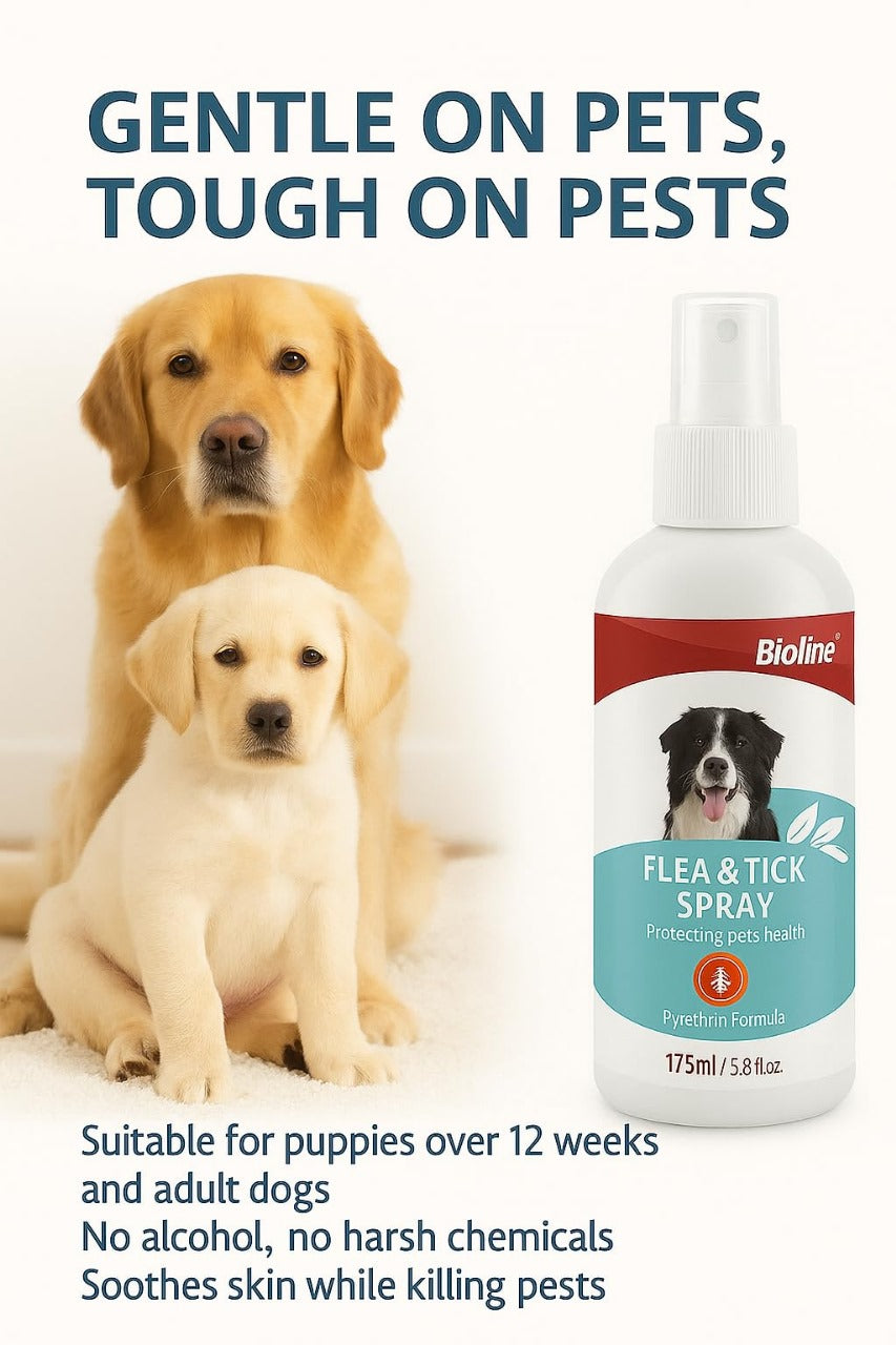 Bioline Flea and Tick spray 175ml - pet grooming