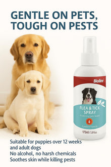 Bioline Flea and Tick spray 175ml - pet grooming