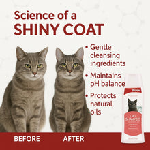 Cat Grooming Essential Combo – Cat Shampoo +Universal cosmetic wipes  =Shiny coat + On-the-go freshness