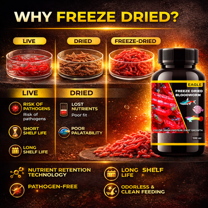 Freeze Dried Bloodworms Fish Food 100ml