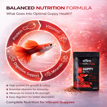 Guppy Fish Food Micro Pellets 20g