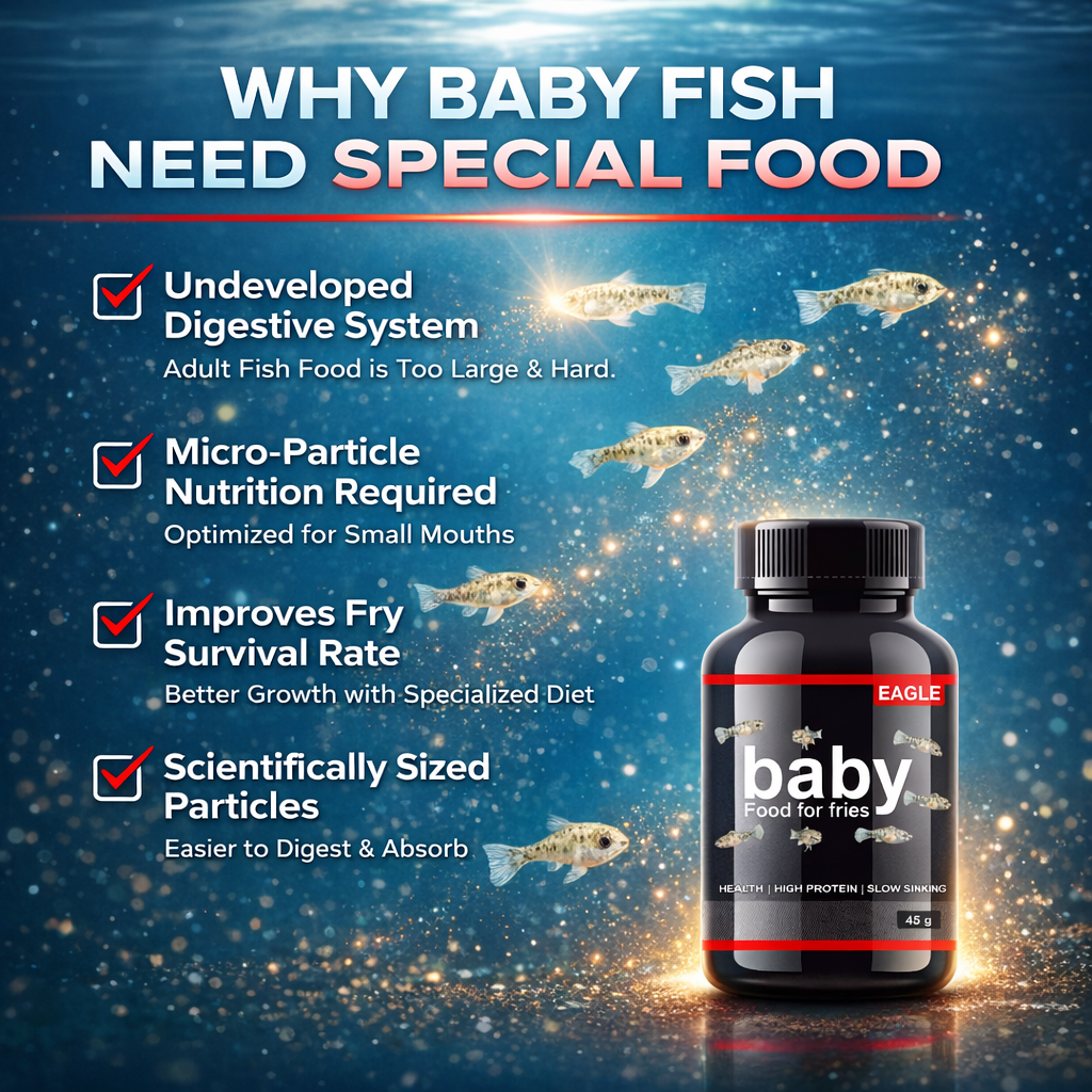Baby Fish Food for Fry Growth