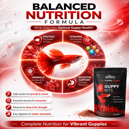 Guppy Fish Food Micro Pellets 20g