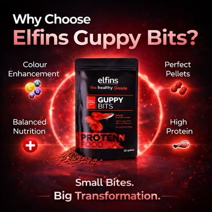 Guppy Fish Food Micro Pellets 20g