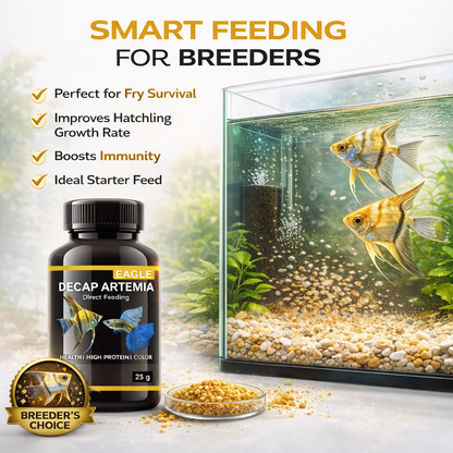 Decapsulated Artemia Fish Food 25g
