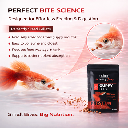 Guppy Fish Food Micro Pellets 20g