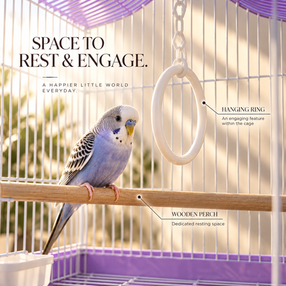 Purple & White Premium Bird Cage – 30 × 23 × 29 CM