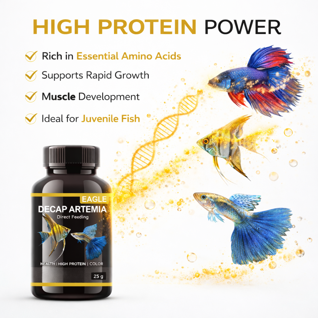 Decapsulated Artemia Fish Food 25g