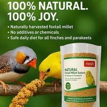 Nosh Foxtail Millet Select – 450g