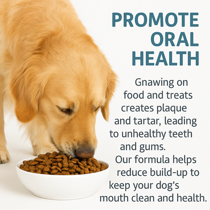 Bioline Dental Oral Care Kit,toothpaste with beef flavour -100g - pet grooming